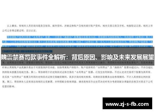 魏震禁赛罚款事件全解析：背后原因、影响及未来发展展望