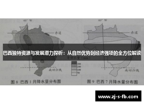 巴西独特资源与发展潜力探析：从自然优势到经济强项的全方位解读