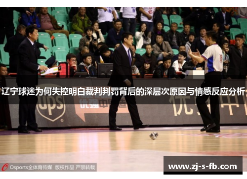 辽宁球迷为何失控明白裁判判罚背后的深层次原因与情感反应分析