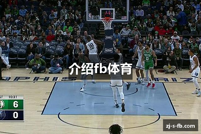 介绍fb体育